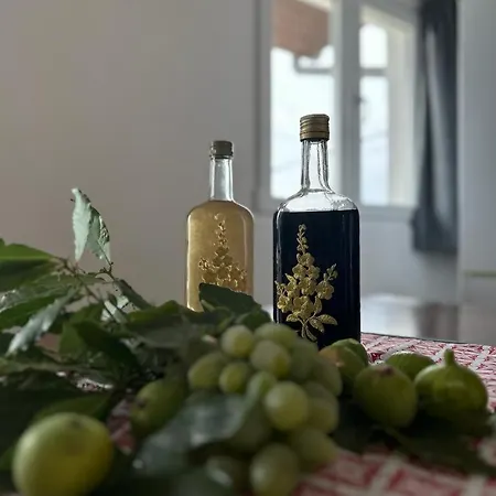 Krolo Otok Ciovo * تروغير